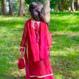 Ilyana red and shocking pink organza lehenga dress