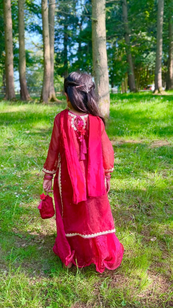 Ilyana red and shocking pink organza lehenga dress
